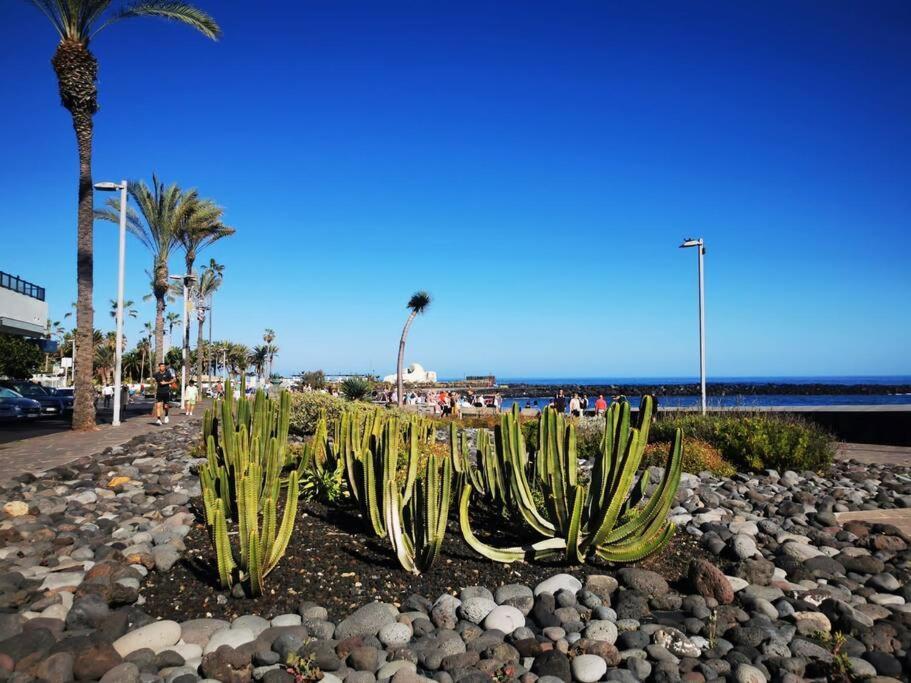 Estudio Ana Puerto de la Cruz  Buitenkant foto